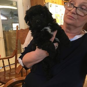 Meet your Posher, Debra